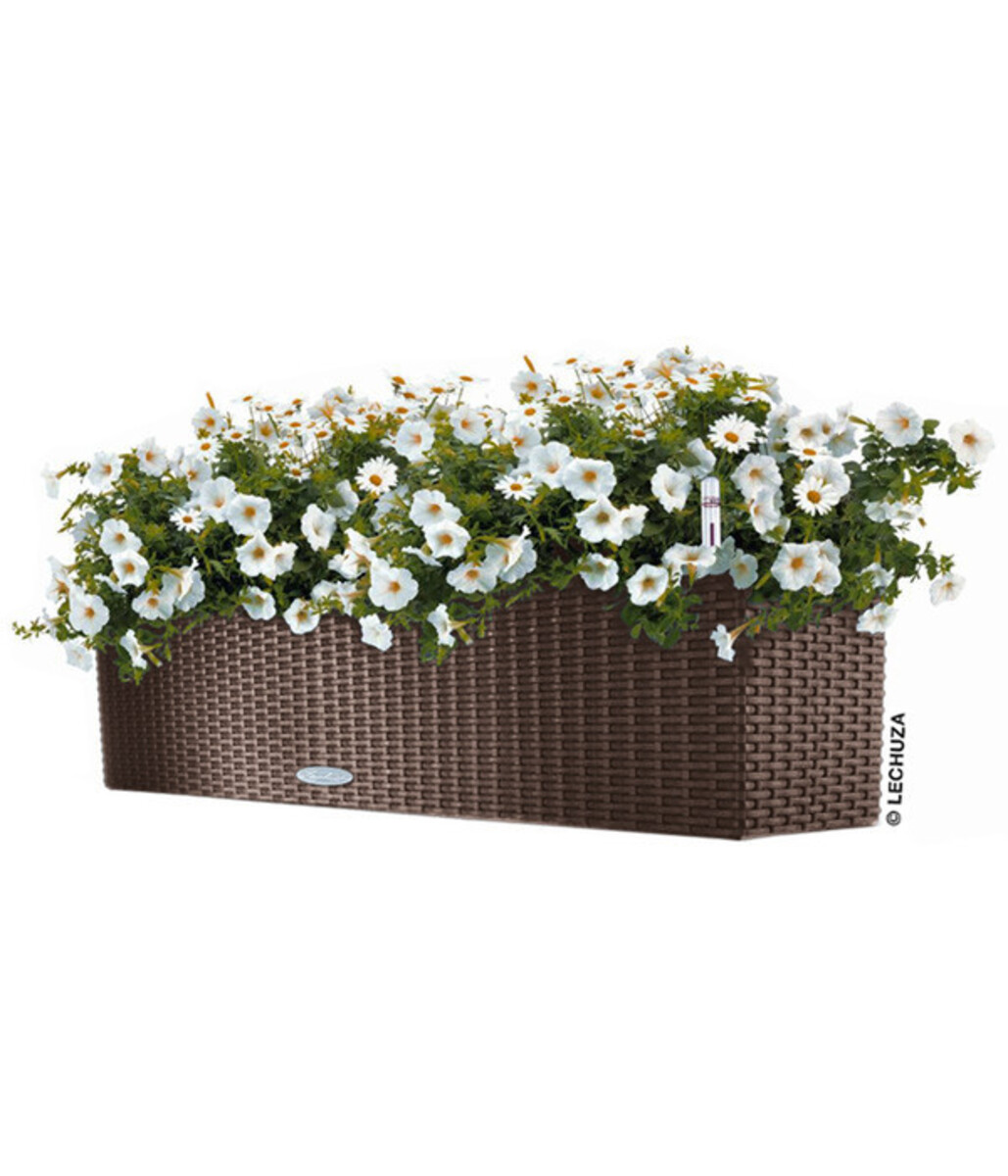 Bild 2 von LECHUZA® Kunststoff-Kasten Balconera Cottage, rechteckig