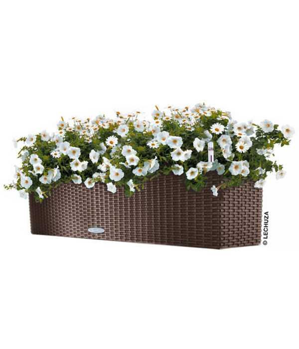 Bild 2 von LECHUZA® Kunststoff-Kasten Balconera Cottage, rechteckig