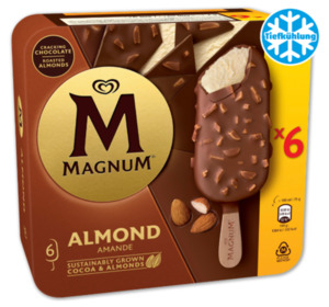 MAGNUM Stieleis*