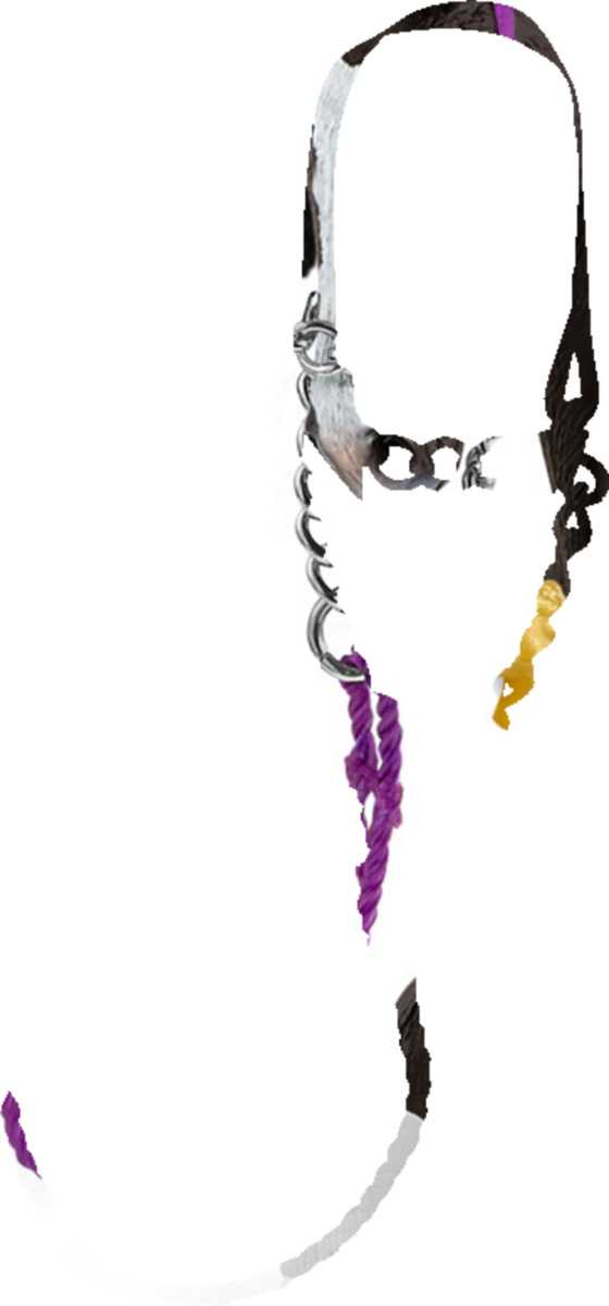 Bild 1 von Schleich Adventskalender 99092 Horse Club 2024