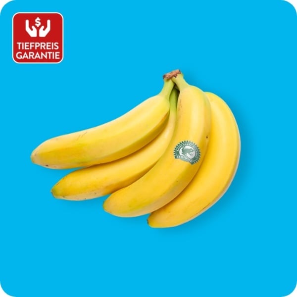 Bild 1 von   Rainforest Alliance Bananen, Ursprung: Ecuador / Costa Rica / Guatemala / Kolumbien