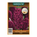 Bild 4 von GARDENLINE Herbstblumenzwiebel-Spezialität 300g