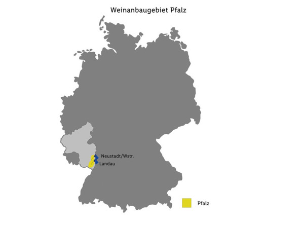 Bild 2 von Deutsches Weintor EXCLUSIV Grauburgunder QbA trocken, Weißwein 2023