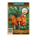 Bild 2 von GARDENLINE Herbstblumenzwiebel-Spezialität 300g