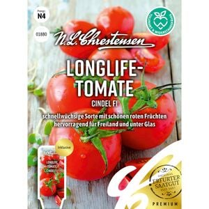 Longlife-Tomate Cindel F1