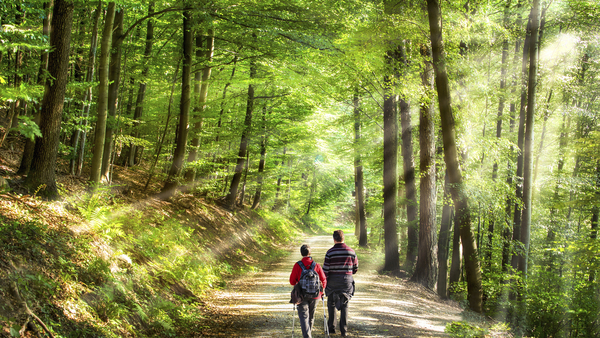 Bild 1 von Deutschland - Thüringer Wald - Masserberg - 3*+ Werrapark Resort Frankenblick