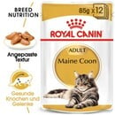 Bild 1 von ROYAL CANIN Maine Coon Adult in Soße 12x85 g