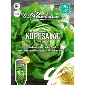 Kopfsalat Dynamite