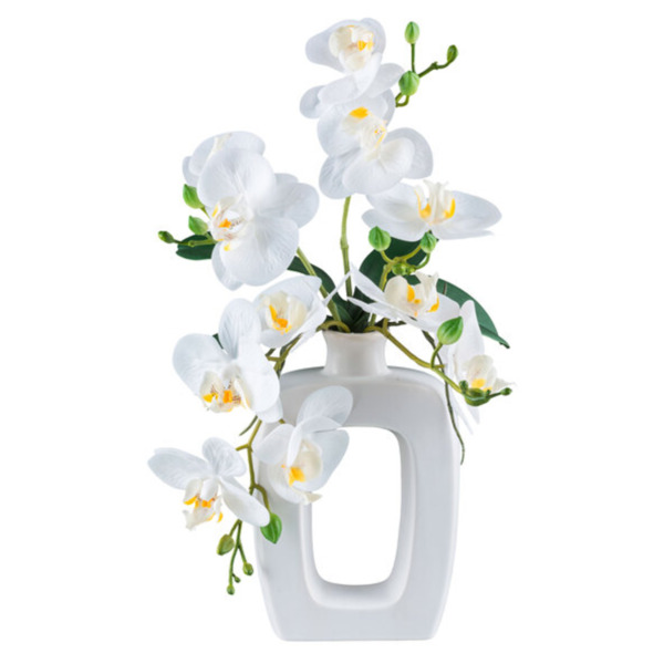 Bild 1 von Phalaenopsis in Keramikvase, 42 cm