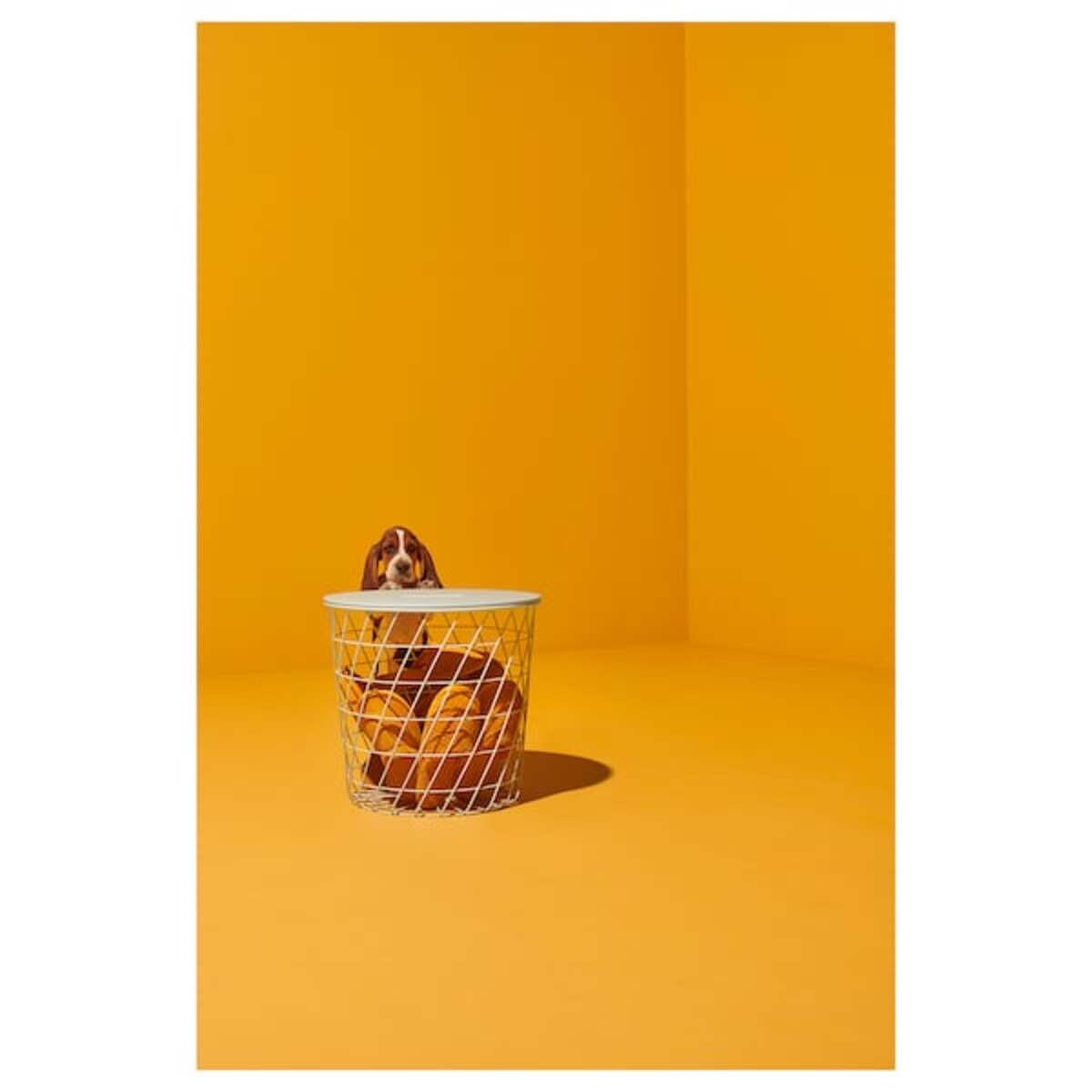 Bild 3 von KVISTBRO Aufbewahrungstisch, weiß 44 cm