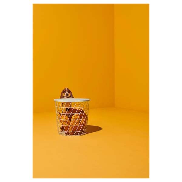 Bild 3 von KVISTBRO Aufbewahrungstisch, weiß 44 cm