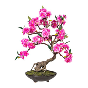 Künstl. Bonsai cerasum in Zementschale, 50 cm