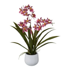 Künstl. Cambria-Orchidee im Keramiktopf, 50 cm