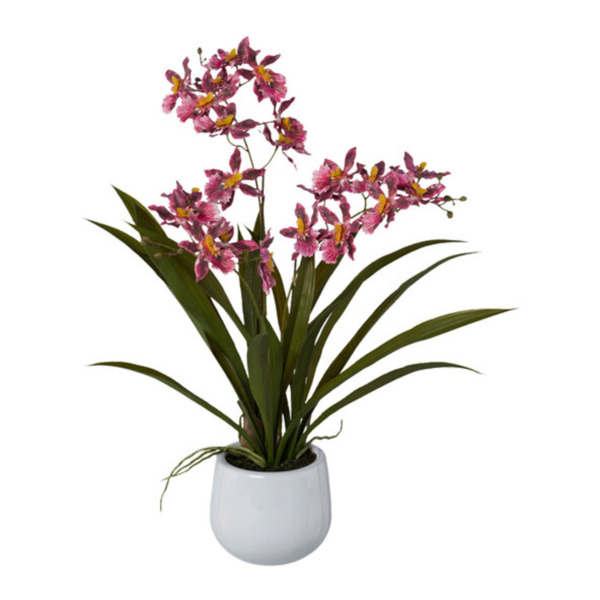 Bild 1 von Künstl. Cambria-Orchidee im Keramiktopf, 50 cm