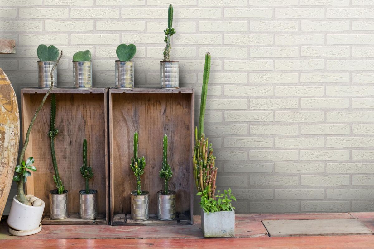 Bild 2 von Struktur-Profiltapete