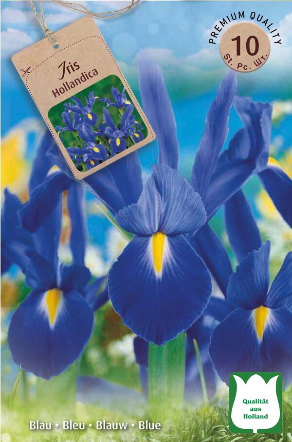 Bild 3 von Blumenzwiebeln