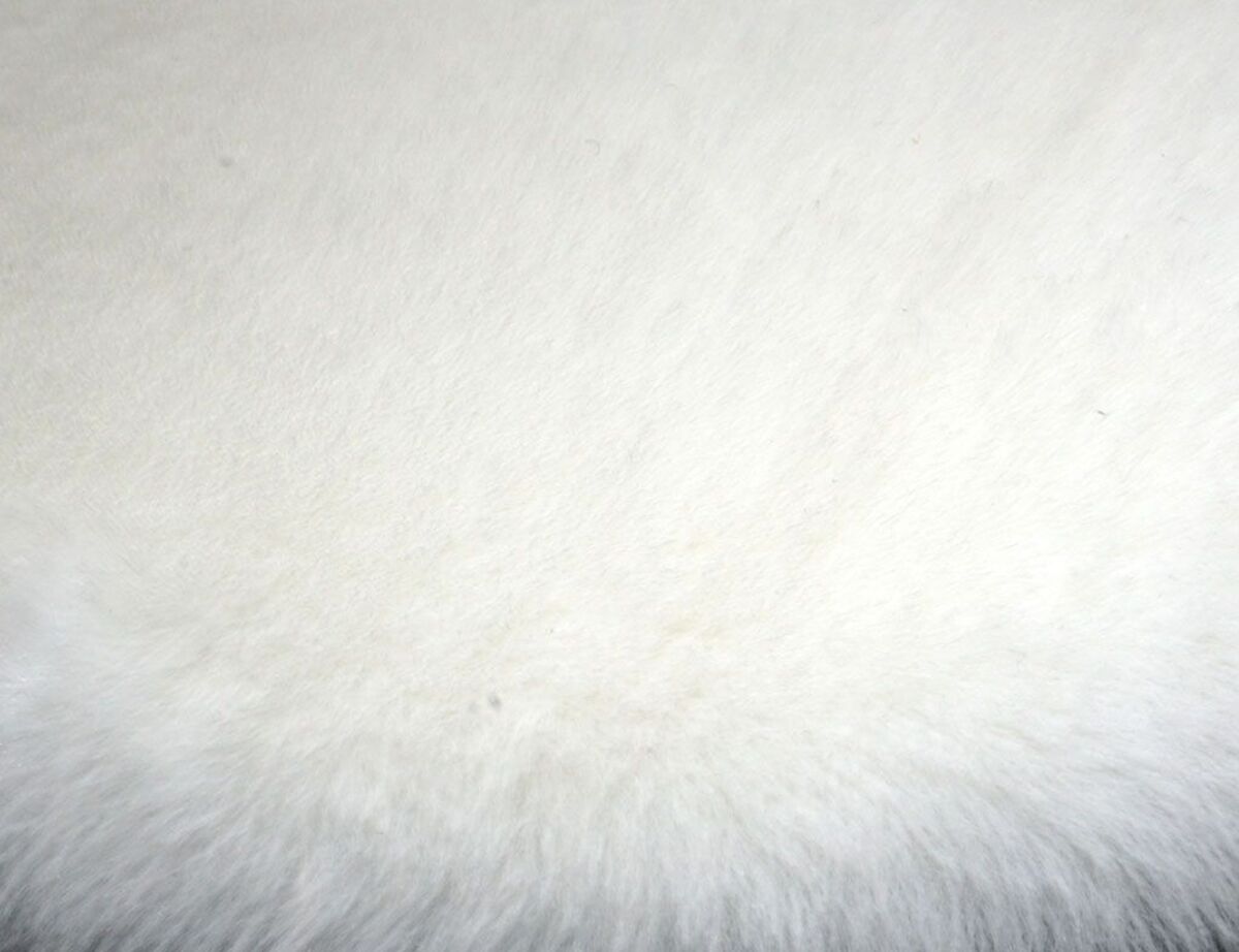 Bild 2 von Stuhlkissen Rabbit silber