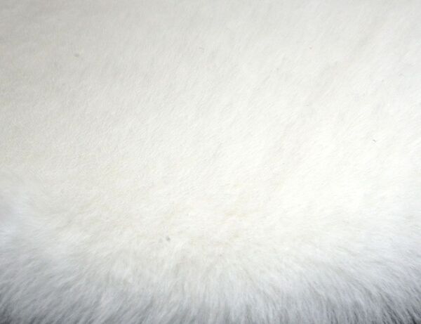 Bild 2 von Stuhlkissen Rabbit silber