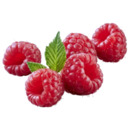 Bild 1 von Deutschland Himbeeren