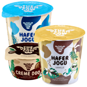 Hafer-JOGU-oder -Dessert