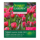 Bild 3 von Finest Garden Blumenzwiebeln Narzissen / Tulpen