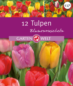 IDEENWELT Tulpen