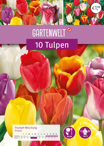 IDEENWELT Tulpen Triumpf Mischung