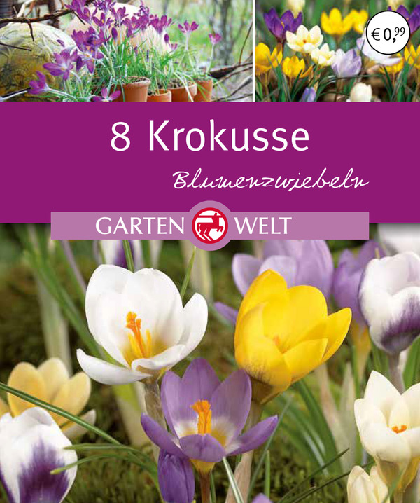 Bild 1 von IDEENWELT Krokusse