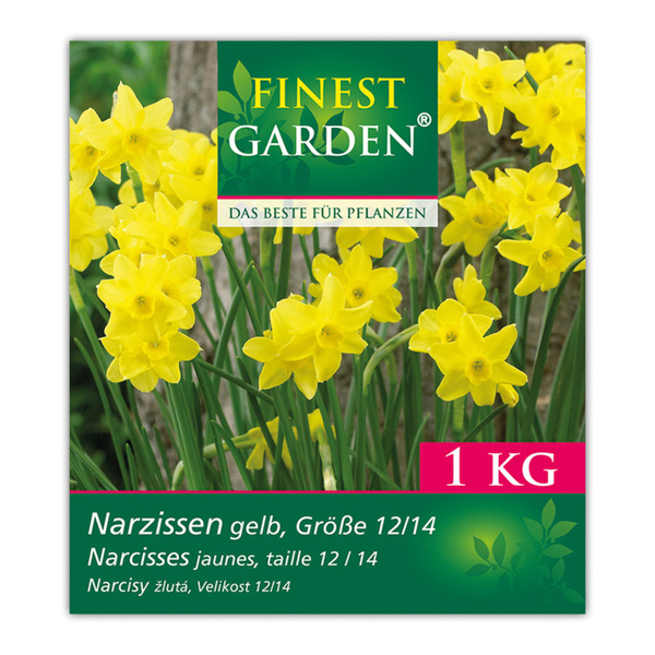 Bild 2 von Finest Garden Blumenzwiebeln Narzissen / Tulpen