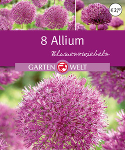 IDEENWELT Allium