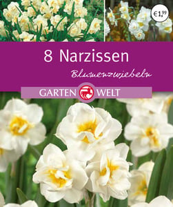 IDEENWELT Narzissen