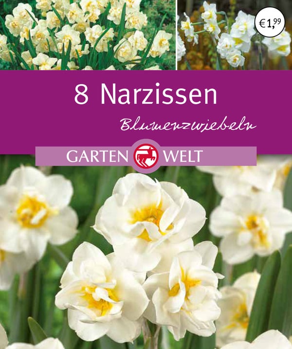 Bild 1 von IDEENWELT Narzissen