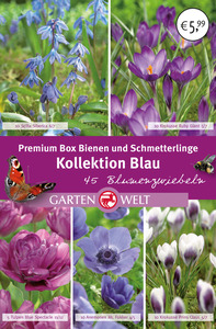 IDEENWELT Premium Box Bienen und Schmetterlinge Kollektion Blau