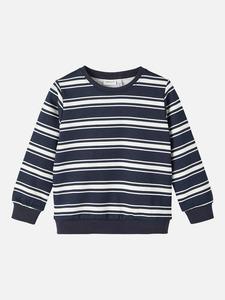 Jungen Pullover mit Print oder Streifen Blau