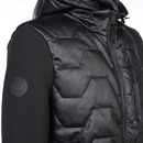 Bild 4 von Herren Steppjacke mit Kapuze Schwarz