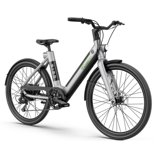 Bild 1 von SachsenRad E-Bike City, Reifen: 26", max. Geschwindigkeit: 25 km/h - grau