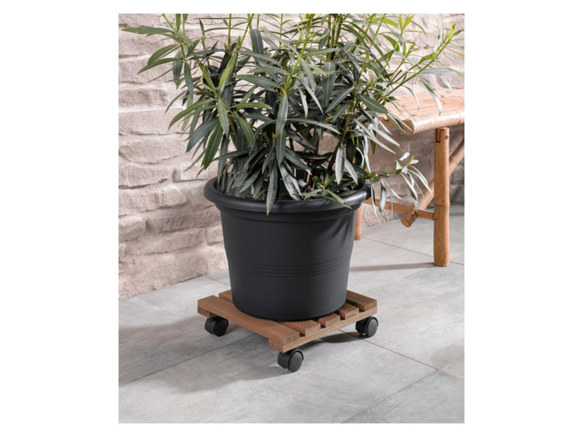 PARKSIDE® Pflanzenroller, mit 360°Doppelrollen von Lidl ansehen!