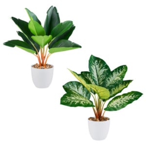 Künstl. Dieffenbachia/Philodendron im Melamintopf, 2er Set