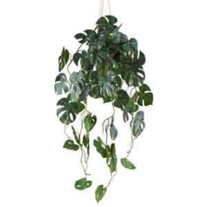 Künstl. Splitphilodendron varigata in Kunststoffhängeampel, 80 cm