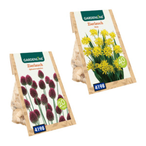 GARDENLINE Zierlauch-Blumenzwiebeln