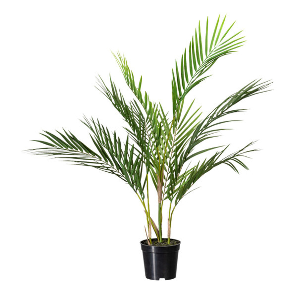 Bild 1 von Künstl. Zimmerpalme im Kunststofftopf mit Erde, 70 cm