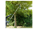 Bild 4 von PARKSIDE® 20 V Akku-Hochentaster »PAHE 20-Li D4«, ohne Akku und Ladegerät
