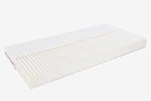 Schaummatratze 100x200 PLUS F50 DREAMZONE