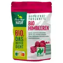 Bild 2 von NUR NUR NATUR Gefriergetrocknete Bio-Früchte 25 g