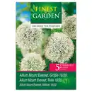 Bild 2 von Finest Garden Allium Blumenzwiebeln