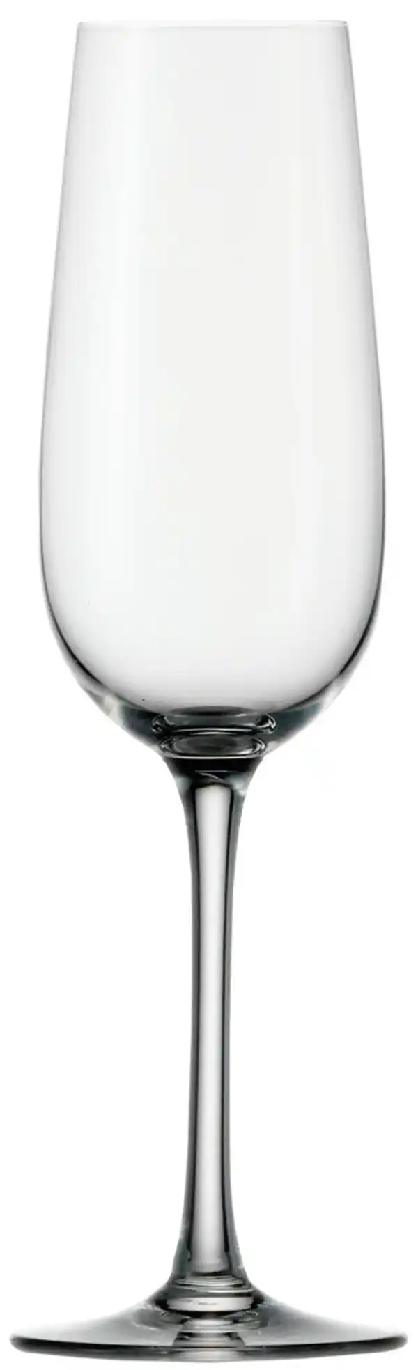 Bild 1 von METRO Professional Sektglas Aveiro, Kristallglas, 20 cl, 6 Stück