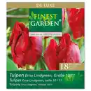 Bild 3 von Finest Garden Herbstblumenzwiebeln "De Luxe"