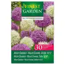 Bild 3 von Finest Garden Allium Blumenzwiebeln