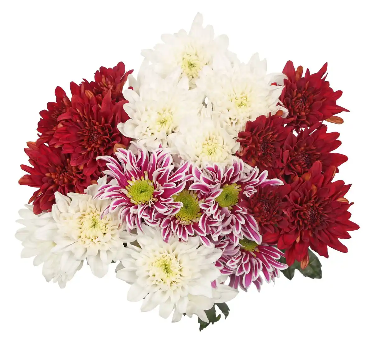 Bild 4 von Chrysanthemen Mix, Preis  Bund