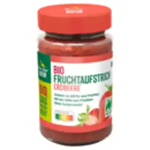 NUR NUR NATUR Bio-Fruchtaufstrich-Erdbeere 250 g